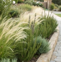 Декоративные злаки в современном ландшафтном дизайне: системный подход, практика и долгосрочный результат