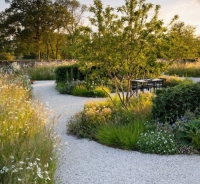 Тренды ландшафтного дизайна 2026: практический взгляд специалиста